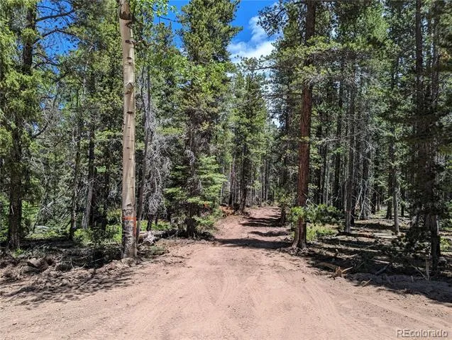 2905 Forbes Park Loop Fort Garland, CO 81133