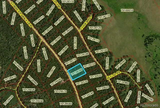 2905 Forbes Park Loop Fort Garland, CO 81133