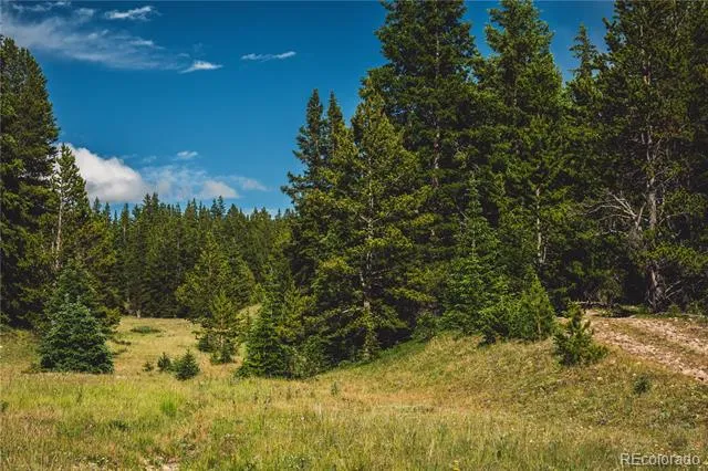 5347 Monitor Leadville, CO 80461