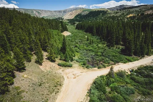 5347 Monitor Leadville, CO 80461