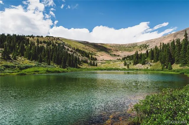 5347 Monitor Leadville, CO 80461