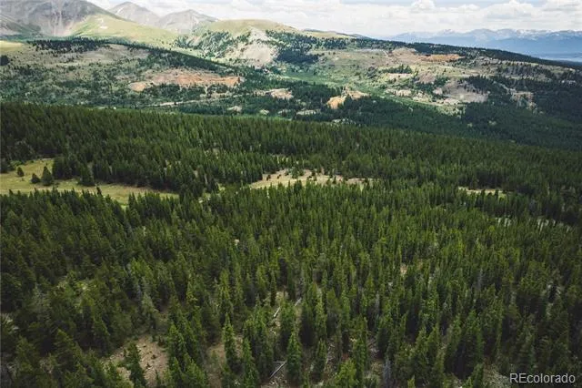 5347 Monitor Leadville, CO 80461