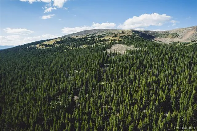 5347 Monitor Leadville, CO 80461