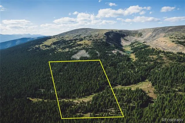5347 Monitor Leadville, CO 80461