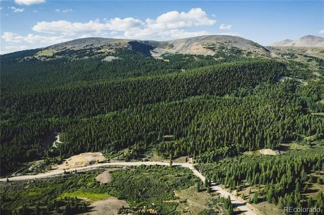 5347 Monitor Leadville, CO 80461