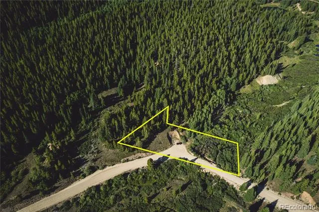 5347 Monitor Leadville, CO 80461