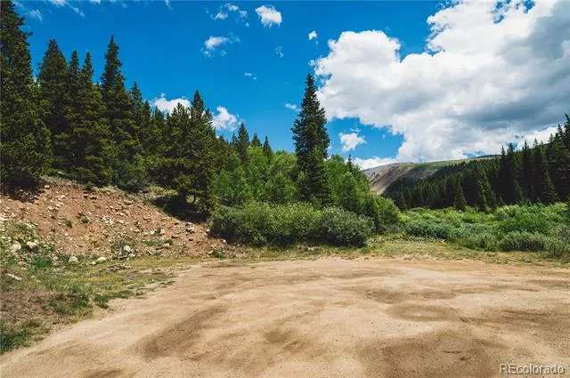 5347 Monitor Leadville, CO 80461