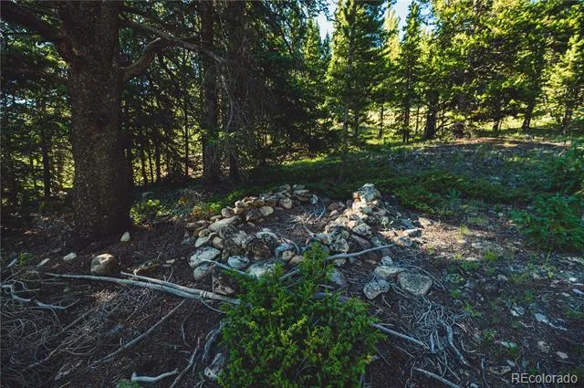 5347 Monitor Leadville, CO 80461