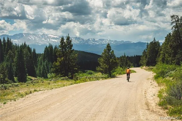 5347 Monitor Leadville, CO 80461