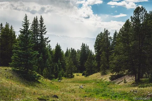 5347 Monitor Leadville, CO 80461