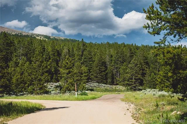 5347 Monitor Leadville, CO 80461
