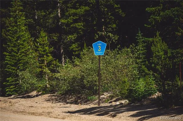 5347 Monitor Leadville, CO 80461