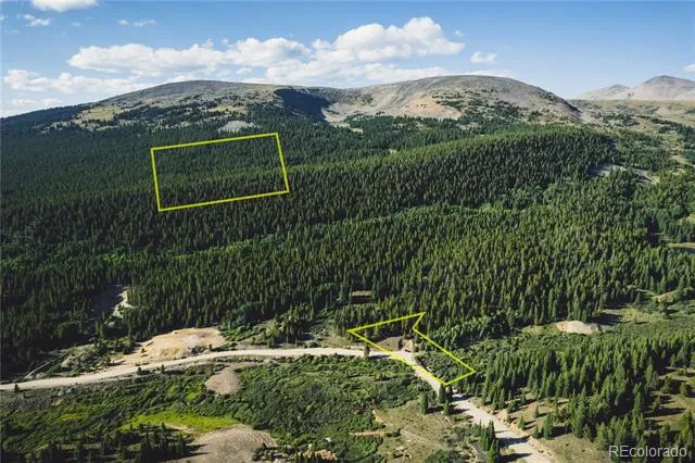 5347 Monitor Leadville, CO 80461