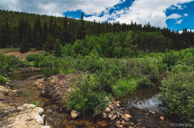 5347 Monitor Leadville, CO 80461
