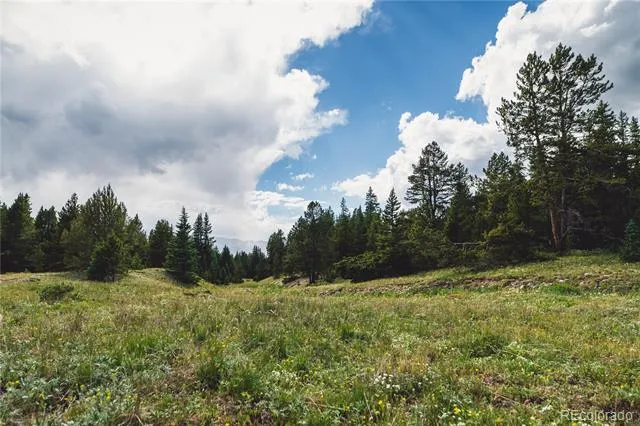 5347 Monitor Leadville, CO 80461
