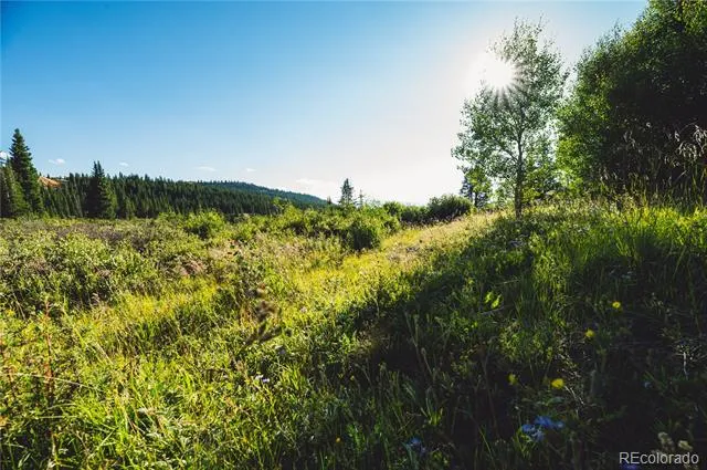 5347 Monitor Leadville, CO 80461
