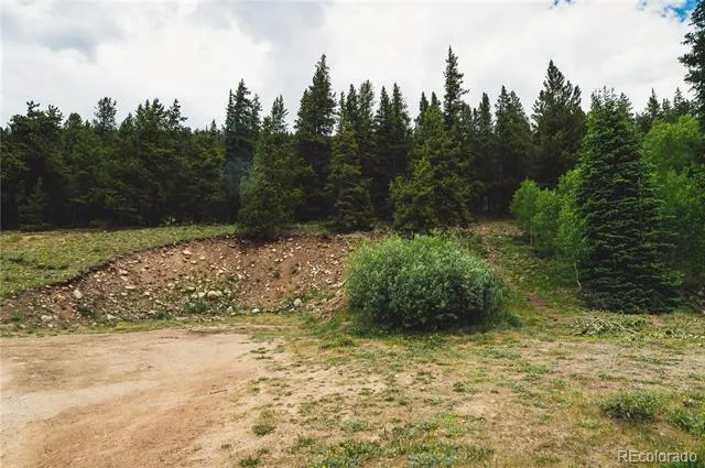 5347 Monitor Leadville, CO 80461