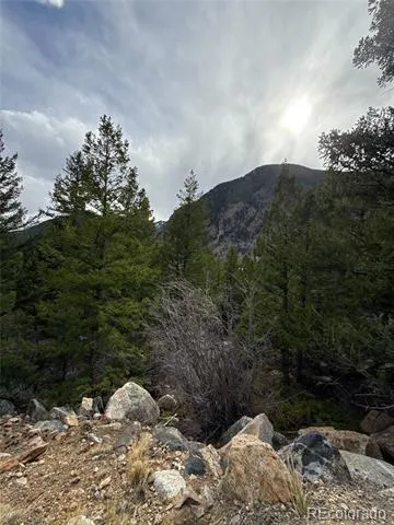 112 Skyline Road Georgetown, CO 80444