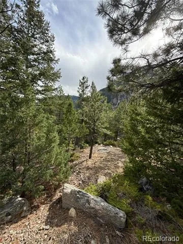 112 Skyline Road Georgetown, CO 80444