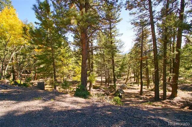 30402 Kings Valley E Conifer, CO 80433