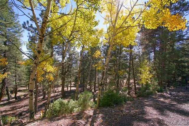 30402 Kings Valley E Conifer, CO 80433