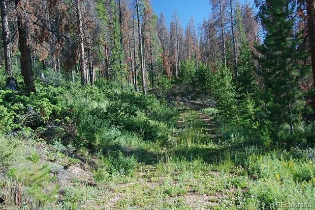 58 GCR 6325 Granby, CO 80446