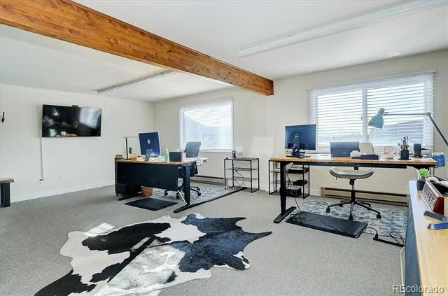 29909 US Highway 24 Buena Vista, CO 81211