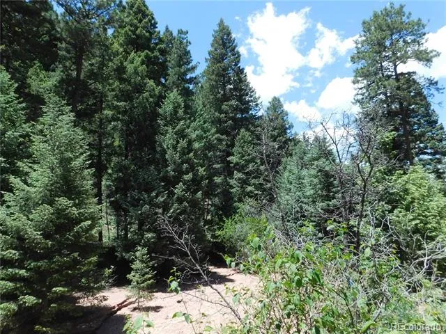 13175 Spruce Creek Circle Larkspur, CO 80118