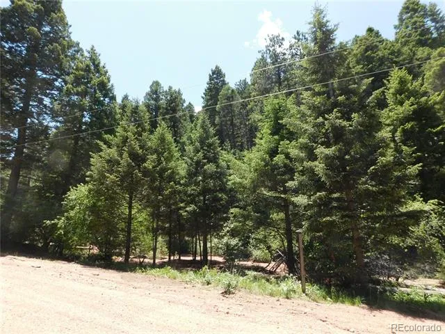 13175 Spruce Creek Circle Larkspur, CO 80118