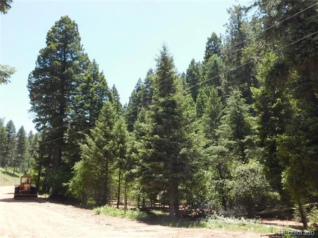 13175 Spruce Creek Circle Larkspur, CO 80118