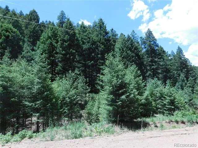 13175 Spruce Creek Circle Larkspur, CO 80118