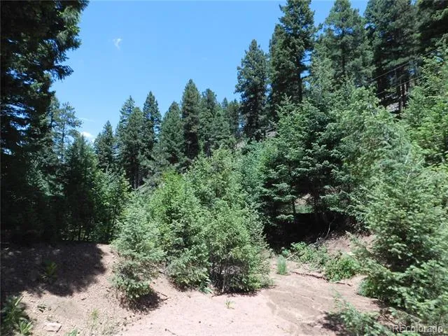 13175 Spruce Creek Circle Larkspur, CO 80118