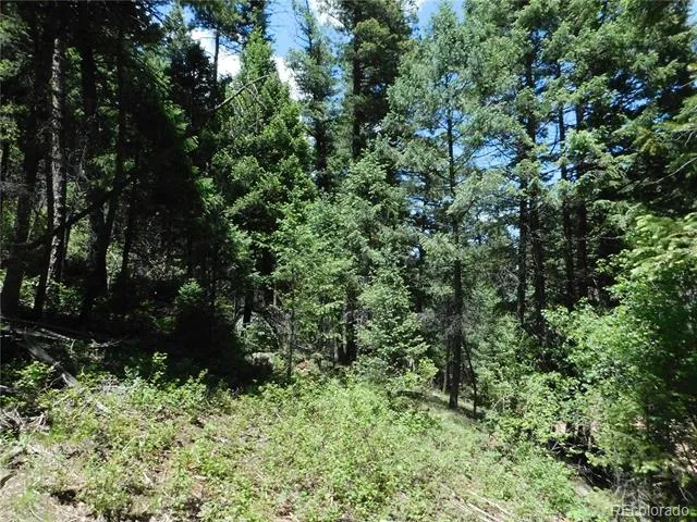 13175 Spruce Creek Circle Larkspur, CO 80118