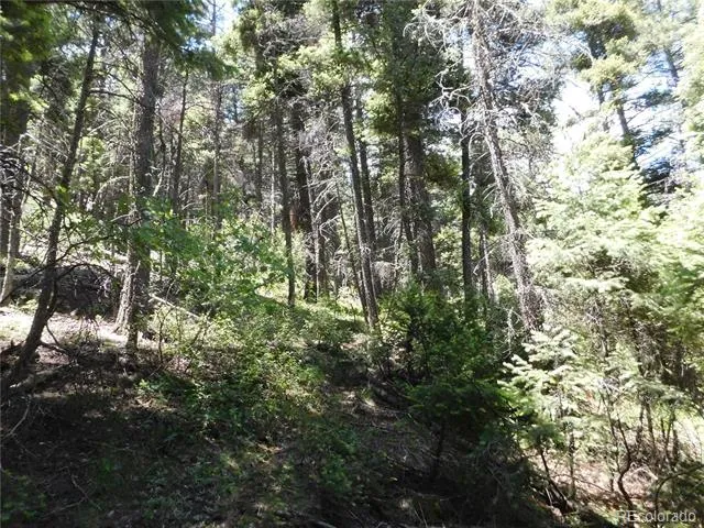13175 Spruce Creek Circle Larkspur, CO 80118