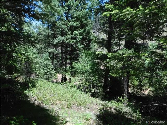 13175 Spruce Creek Circle Larkspur, CO 80118