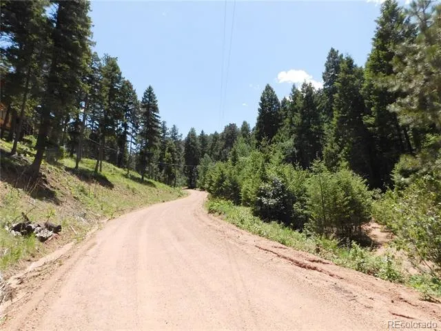 13175 Spruce Creek Circle Larkspur, CO 80118
