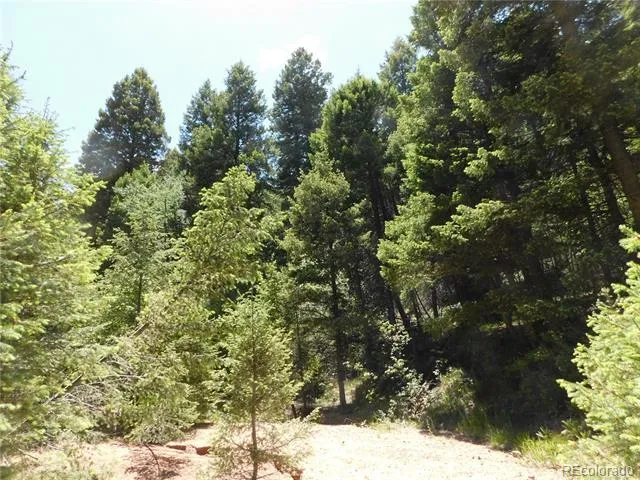 13175 Spruce Creek Circle Larkspur, CO 80118