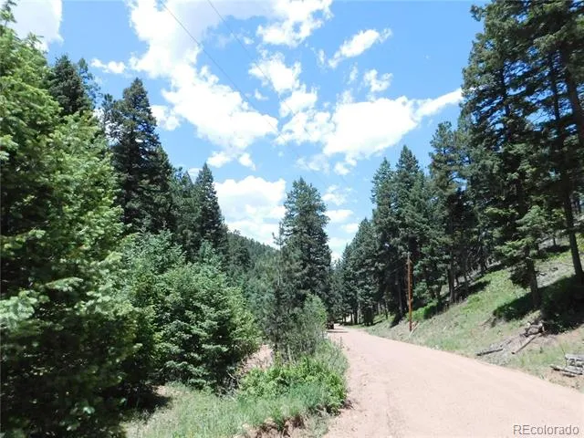 13175 Spruce Creek Circle Larkspur, CO 80118