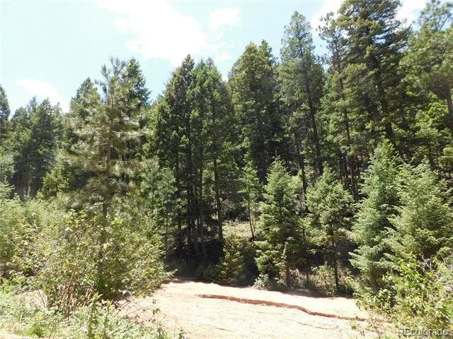 13175 Spruce Creek Circle Larkspur, CO 80118