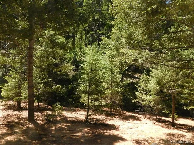 13175 Spruce Creek Circle Larkspur, CO 80118