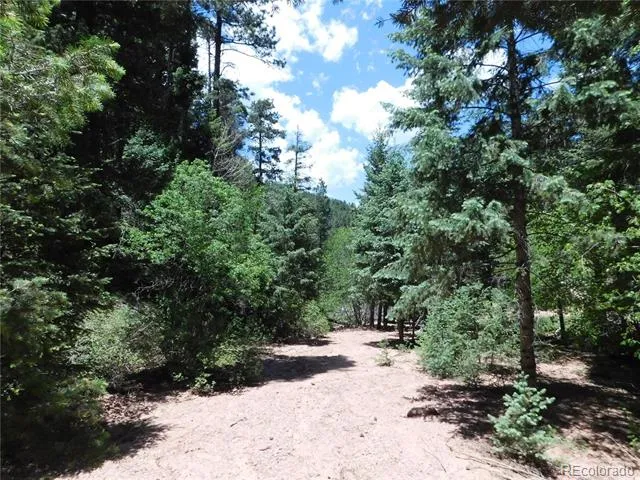 13175 Spruce Creek Circle Larkspur, CO 80118