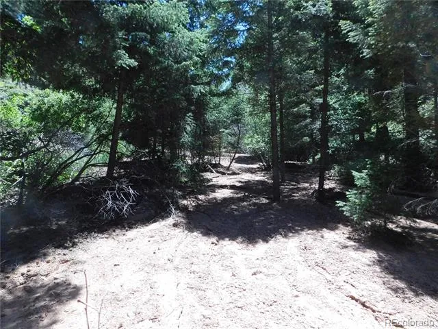 13175 Spruce Creek Circle Larkspur, CO 80118
