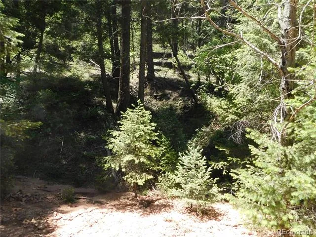 13175 Spruce Creek Circle Larkspur, CO 80118