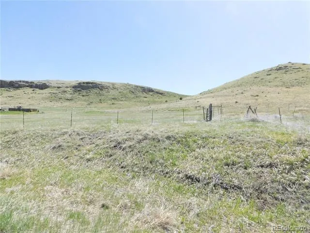 11972 Haskel Creek Road Larkspur, CO 80118