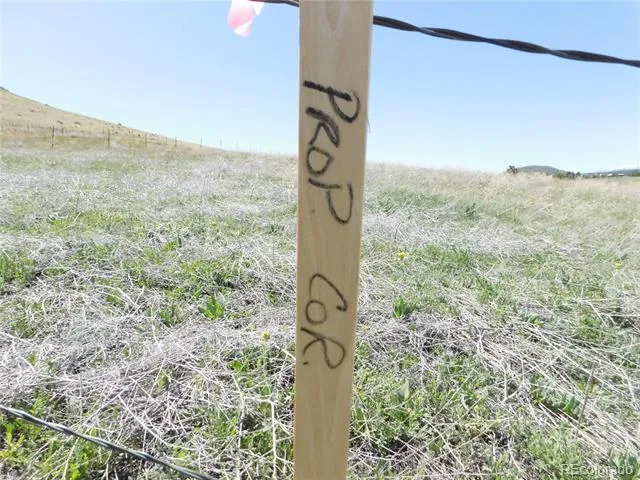 11972 Haskel Creek Road Larkspur, CO 80118