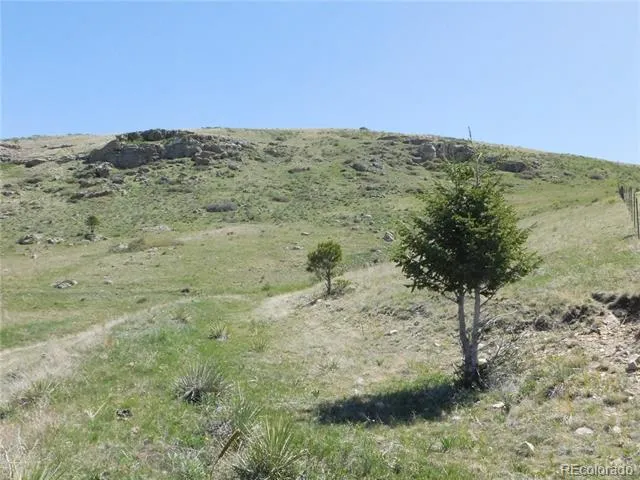11972 Haskel Creek Road Larkspur, CO 80118