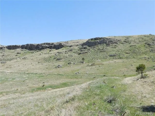 11972 Haskel Creek Road Larkspur, CO 80118