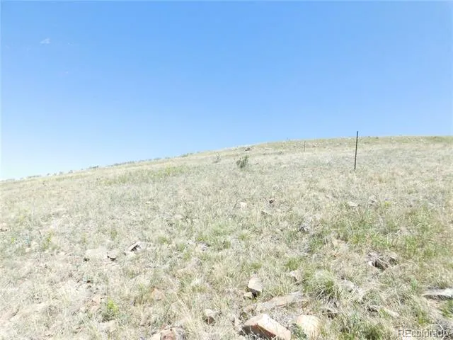 11972 Haskel Creek Road Larkspur, CO 80118