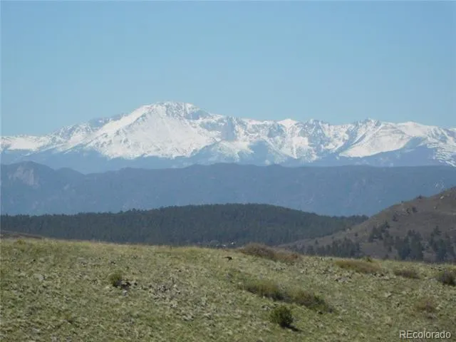 11972 Haskel Creek Road Larkspur, CO 80118