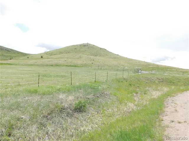 11972 Haskel Creek Road Larkspur, CO 80118